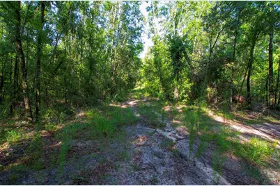 18233 185th Rd, Live Oak, FL 32060 - Photo 80