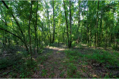 18233 185th Rd, Live Oak, FL 32060 - Photo 58