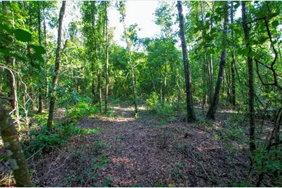 18233 185th Rd, Live Oak, FL 32060 - Photo 70