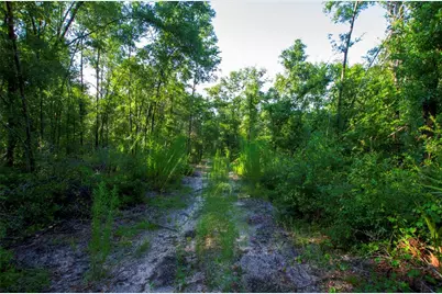 18233 185th Rd, Live Oak, FL 32060 - Photo 60