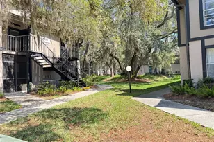 4033 Dream Oak Pl, Tampa, FL 33613 - Photo 4
