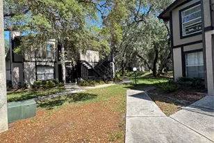 4033 Dream Oak Pl, Tampa, FL 33613 - Photo 2