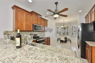 147 Silver Falls Dr, Apollo Beach, FL 33572 - Photo 8