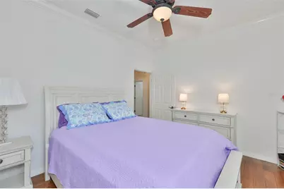 147 Silver Falls Drive, Apollo Beach, FL 33572 - Photo 34