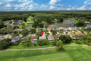 12823 Royal George Ave, Odessa, FL 33556 - Photo 28