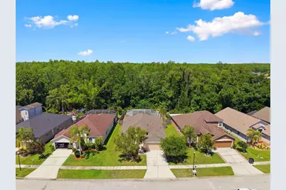 14330 Moon Flower Drive, Tampa, FL 33626 - Photo 50