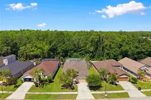 14330 Moon Flower Dr, Tampa, FL 33626 - Photo 50