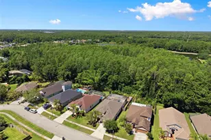 14330 Moon Flower Dr, Tampa, FL 33626 - Photo 60
