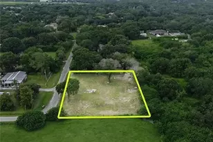 11710 Meadowdale Dr, Tampa, FL 33625 - Photo 1