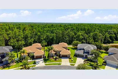 3320 Grassglen Place, Wesley Chapel, FL 33544 - Photo 6