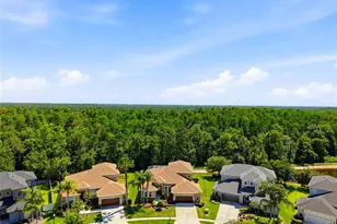 3320 Grassglen Pl, Wesley Chapel, FL 33544 - Photo 6