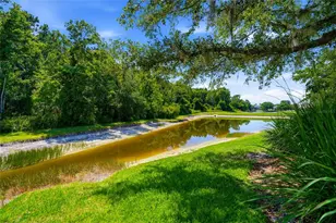 3320 Grassglen Pl, Wesley Chapel, FL 33544 - Photo 48
