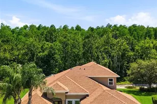 3320 Grassglen Pl, Wesley Chapel, FL 33544 - Photo 2