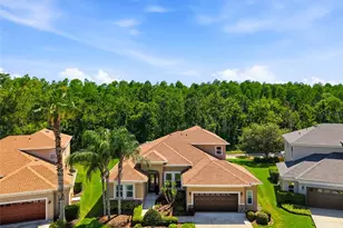 3320 Grassglen Pl, Wesley Chapel, FL 33544 - Photo 1