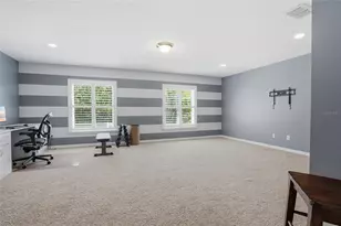 3320 Grassglen Pl, Wesley Chapel, FL 33544 - Photo 34