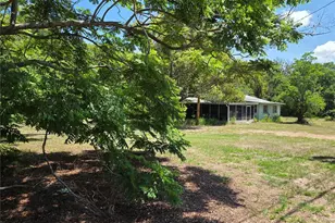 3810 E Lumsden Rd, Valrico, FL 33594 - Photo 4
