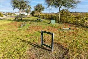13415 White Sapphire Rd, Riverview, FL 33579 - Photo 100