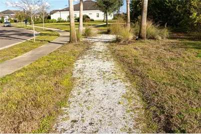 13415 White Sapphire Road, Riverview, FL 33579 - Photo 90