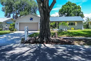 2481 Malcolm Dr, Palm Harbor, FL 34684 - Photo 44