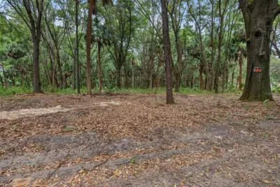 0 N US Hwy 301, Citra, FL 32113 - Photo 12