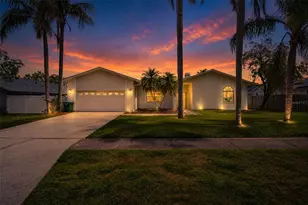 2135 Vance Ave, Palm Harbor, FL 34683 - Photo 1