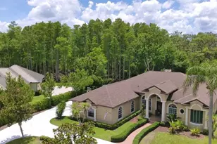 10852 Panicum Ct, New Port Richey, FL 34655 - Photo 6