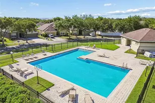 8718 Sandy Plains Dr, Riverview, FL 33578 - Photo 64