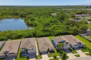 12507 Candleberry Cir, Tampa, FL 33635 - Photo 56