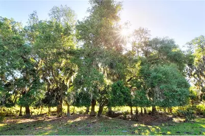 18100 Dorman Road, Lithia, FL 33547 - Photo 4