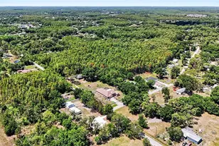 1346 Sierra Pines Blvd, Lutz, FL 33558 - Photo 16