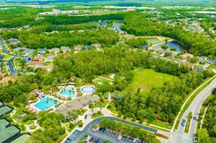 2409 Spring Hollow Loop, Wesley Chapel, FL 33544 - Photo 28