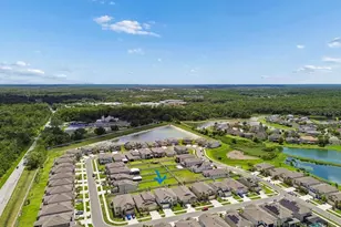 16011 Sonoma Grv Cir, Tampa, FL 33647 - Photo 38