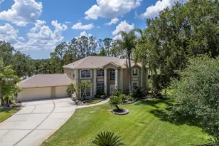 18511 Bittern Ave, Lutz, FL 33558 - Photo 6