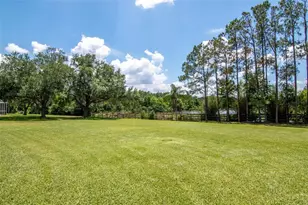 18511 Bittern Ave, Lutz, FL 33558 - Photo 54