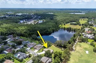 18511 Bittern Ave, Lutz, FL 33558 - Photo 58