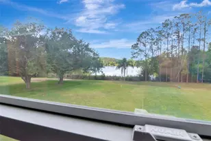 18511 Bittern Ave, Lutz, FL 33558 - Photo 36
