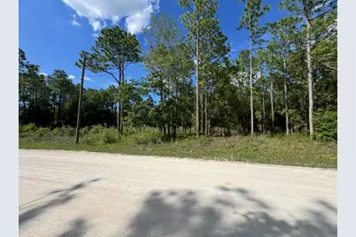 15570 Cliff Swallow Road, Weeki Wachee, FL 34614 - Photo 6