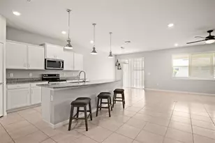 18929 Birchwood Groves Dr, Lutz, FL 33558 - Photo 8