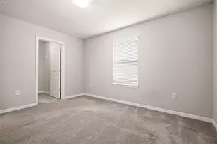 18929 Birchwood Groves Dr, Lutz, FL 33558 - Photo 22