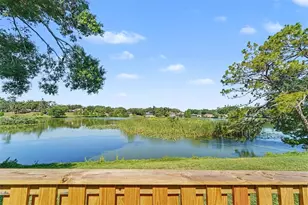 14806 Morning Dr, Lutz, FL 33559 - Photo 30