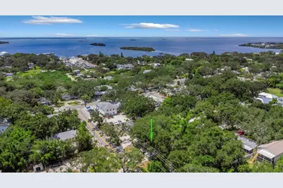 414 Tampa Road, Palm Harbor, FL 34683 - Photo 2