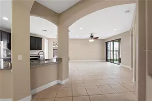 20329 Hertiage Point, Tampa, FL 33647 - Photo 8