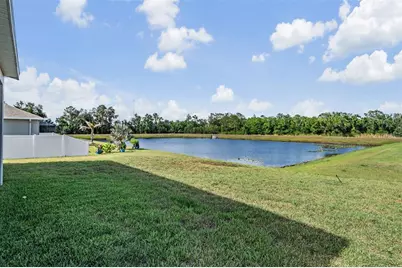 13418 Lakeview Oaks Lane, Riverview, FL 33579 - Photo 38