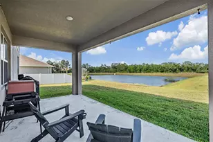 13418 Lakeview Oaks Ln, Riverview, FL 33579 - Photo 14