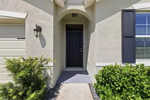 30685 Summer Sun Loop, Wesley Chapel, FL 33545 - Photo 6