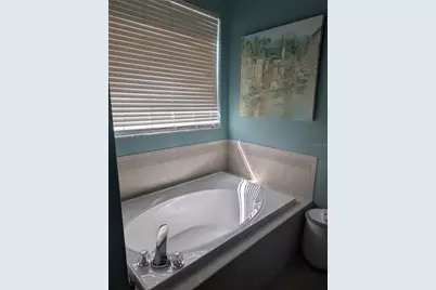 6028 Rolling Vista Loop, Dover, FL 33527 - Photo 20