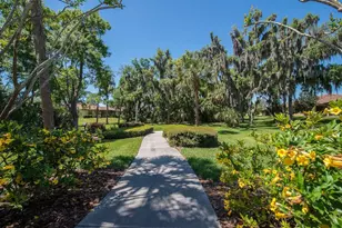 107 Shell Falls Dr, Apollo Beach, FL 33572 - Photo 42