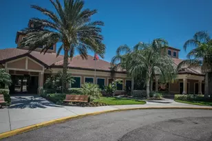 107 Shell Falls Dr, Apollo Beach, FL 33572 - Photo 24