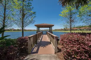 107 Shell Falls Dr, Apollo Beach, FL 33572 - Photo 44