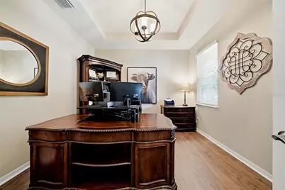 24115 San Giovanni Drive, Land O Lakes, FL 34639 - Photo 6